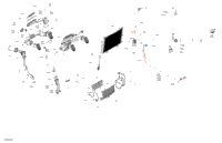 Miscellaneous - Options