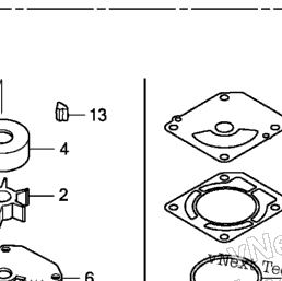 Honda Marine BFP60A XRTA Impeller Pump Kit | CyclePartsNation