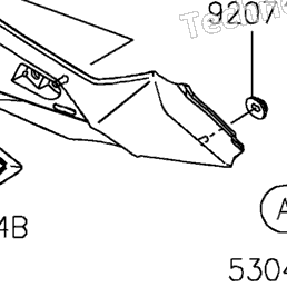2023 Kawasaki Ninja ZX-4R ABS (ZX400PPFNN) Fuel Tank | Babbitts